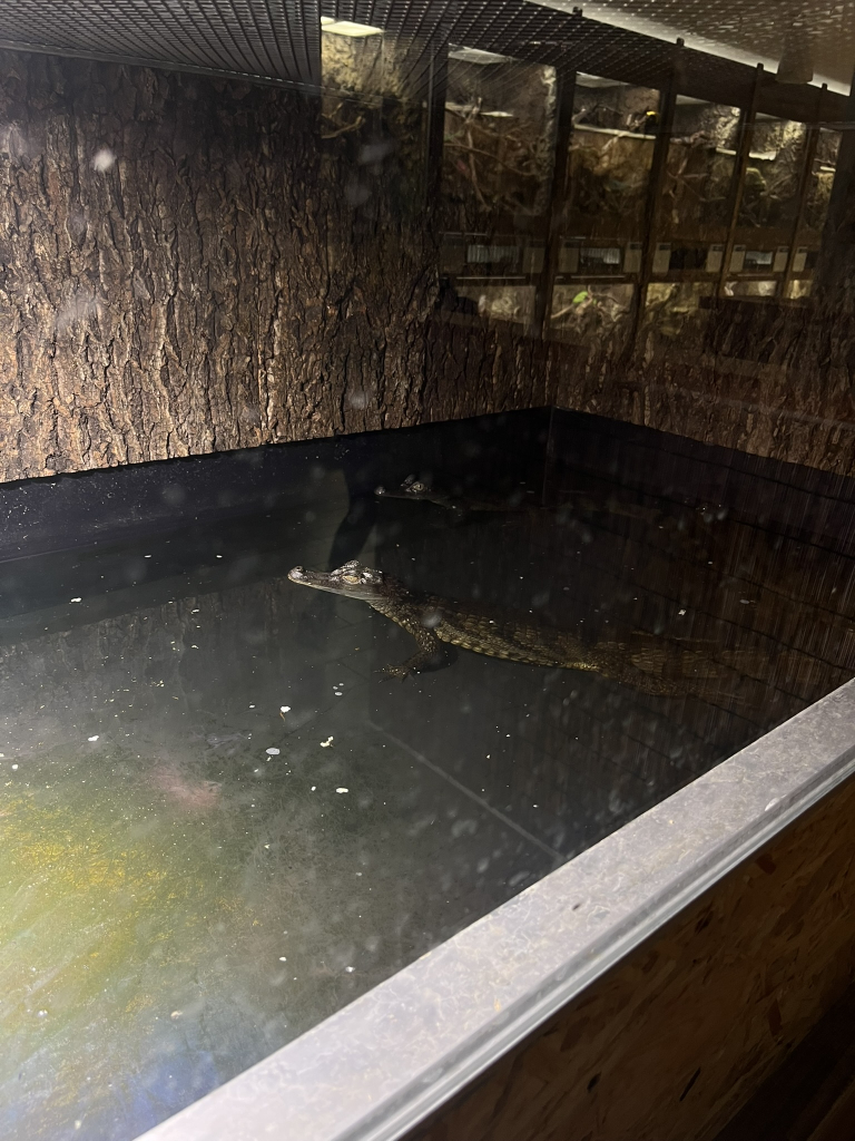IMG_8804.JPEG