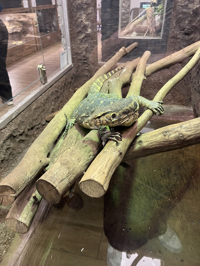 IMG_8824.JPEG