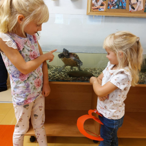 Den otevřených dveří