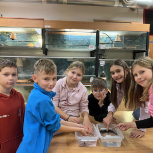 Přírodovědně - chovatelský kroužek II.